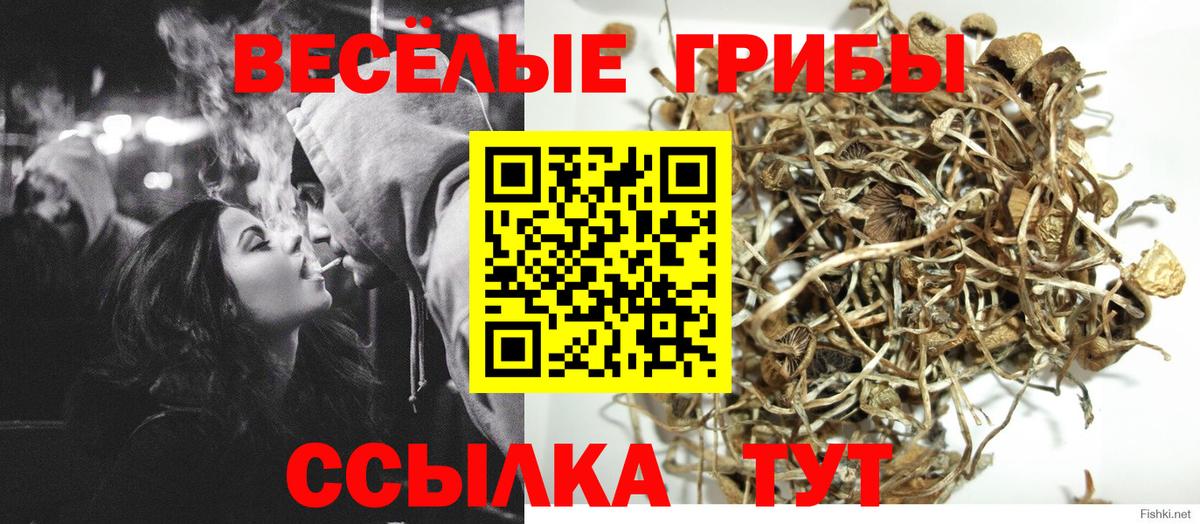 Галлюциногенные грибы Psilocybe  Псилоцибиновые грибы ЛСД  Мичуринск  Вход с VPN 