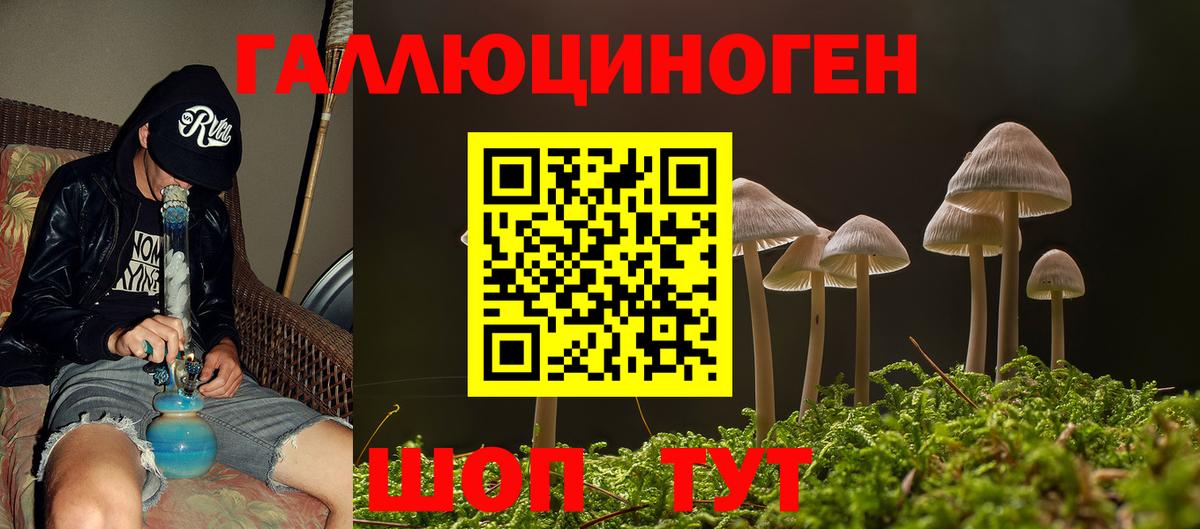Галлюциногенные грибы GOLDEN TEACHER Мичуринск